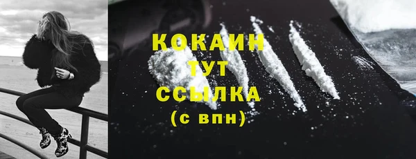 тгк Новодвинск