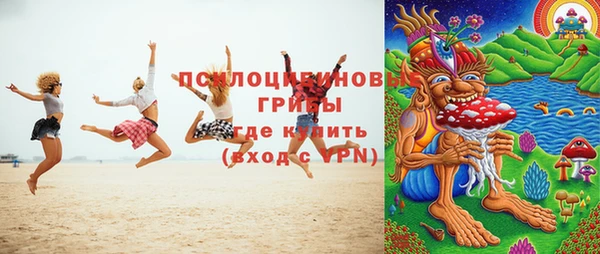 не бодяженный Новозыбков