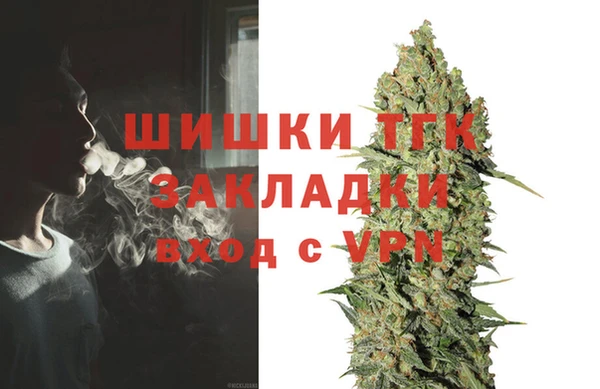 тгк Новодвинск