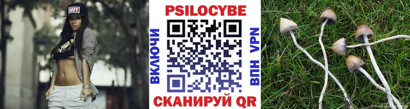 цены наркотик  Волгоград  Галлюциногенные грибы Magic Shrooms 